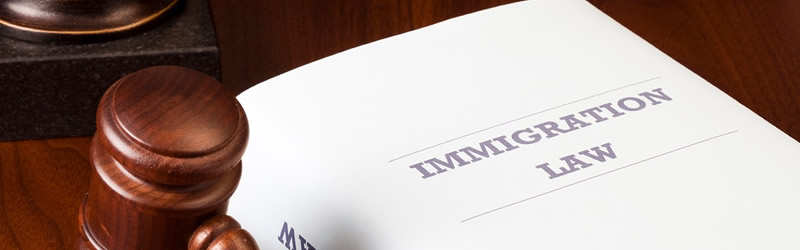 Immigration law advice